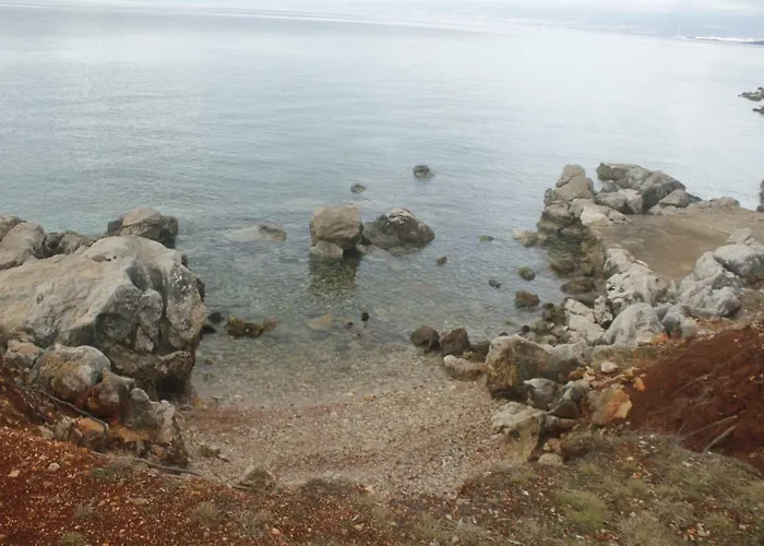 Jadranka Daire Njivice