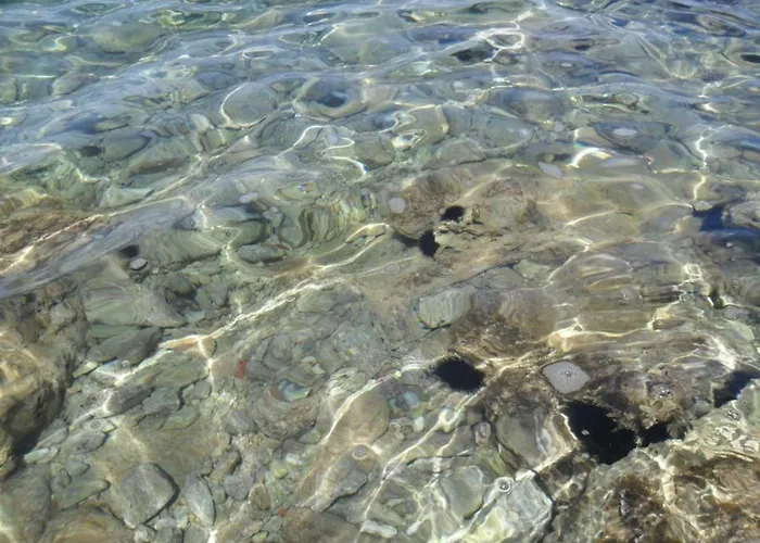 Jadranka *
